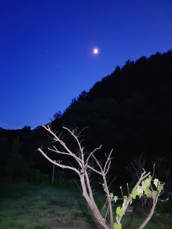 c5d41fe174a8e00a130e2f908d072187.jpg